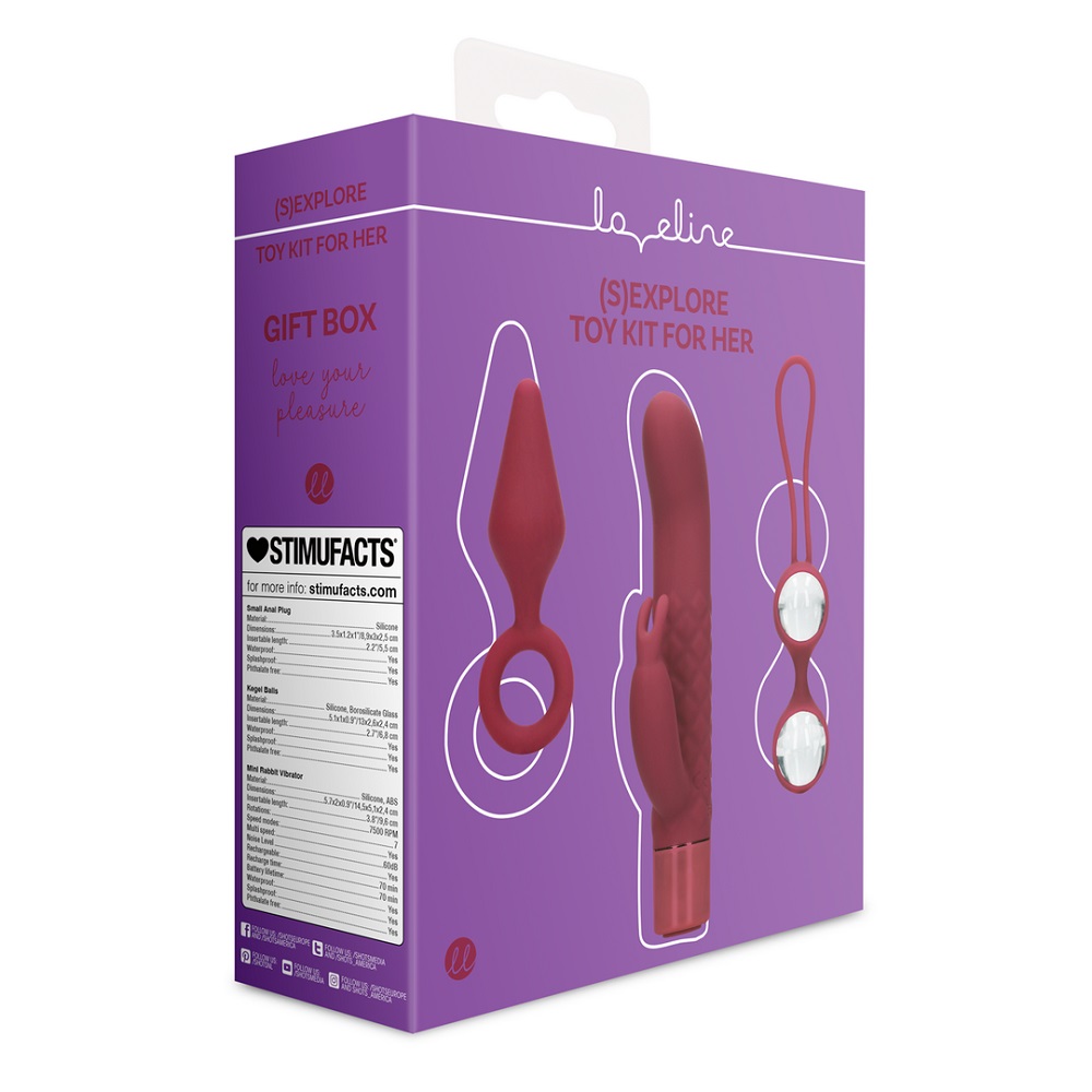 Sex Toy Kit for Her, shown from the back