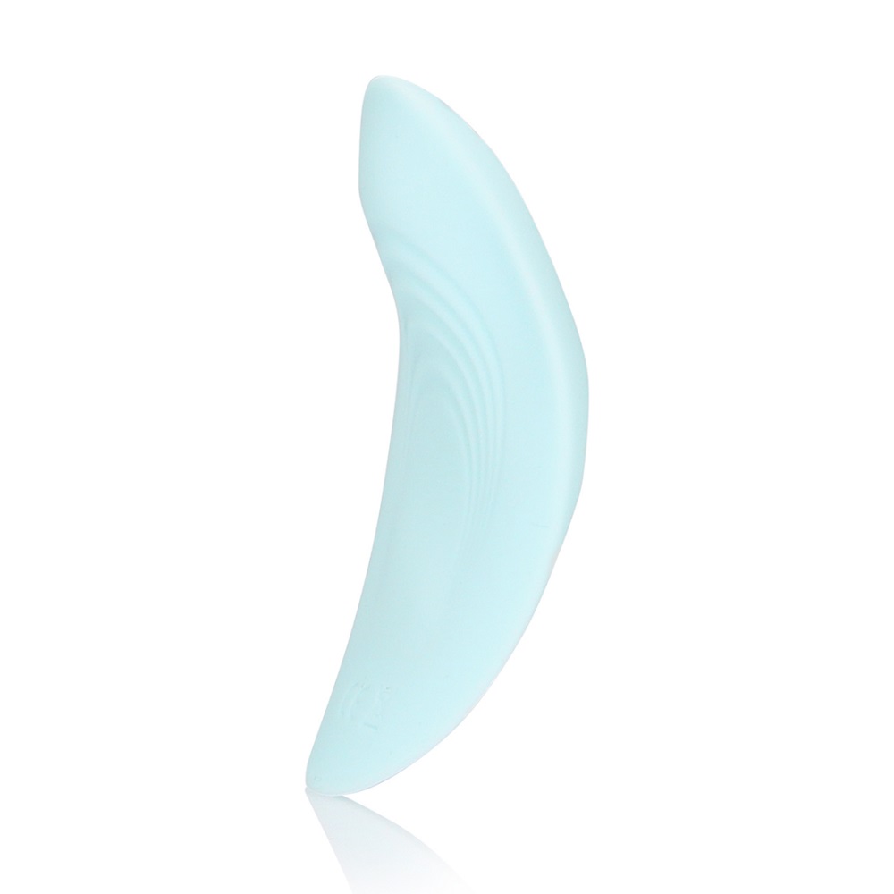 Remote Control Panty Vibrator, shown in its packaging