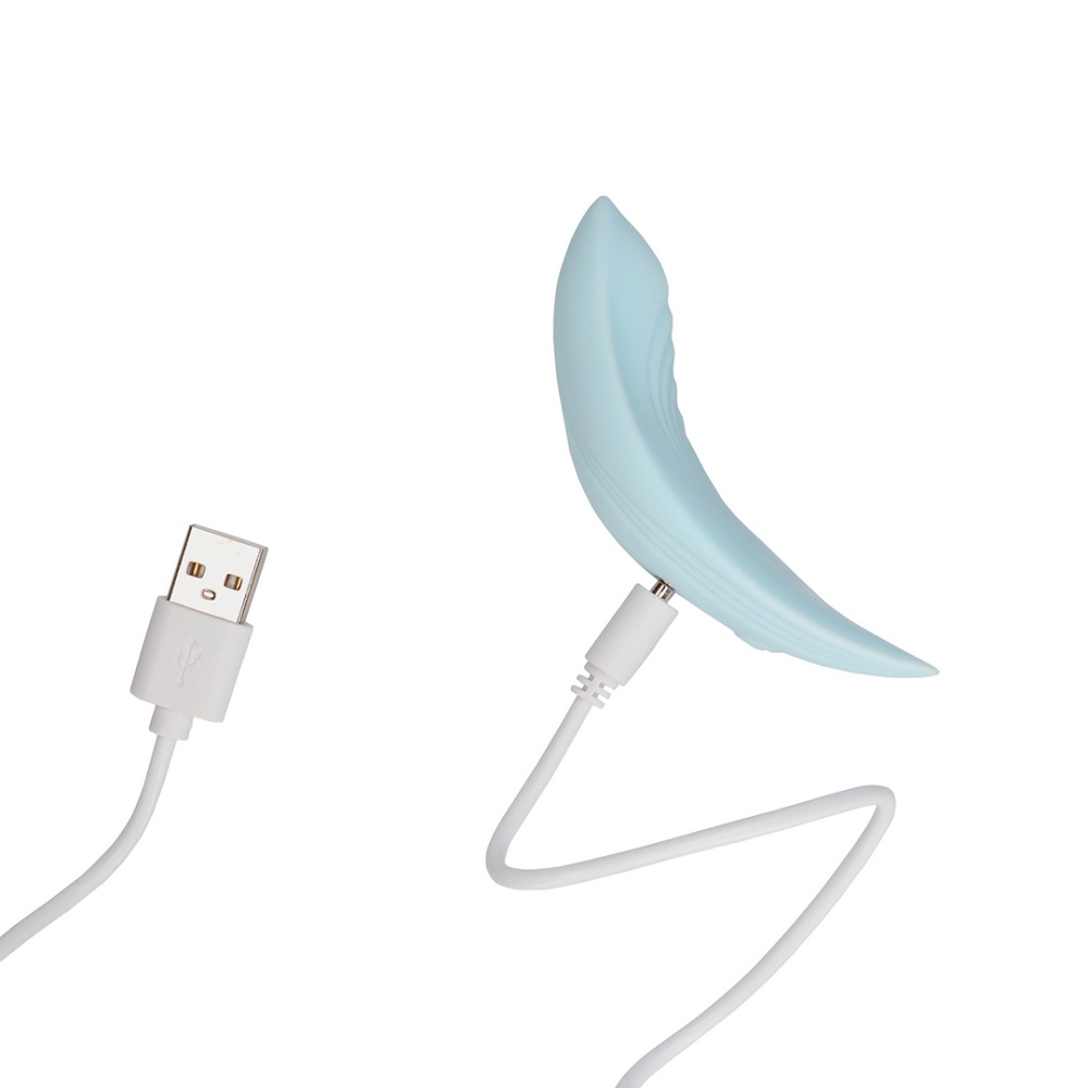 Remote Control Panty Vibrator, photograph 9