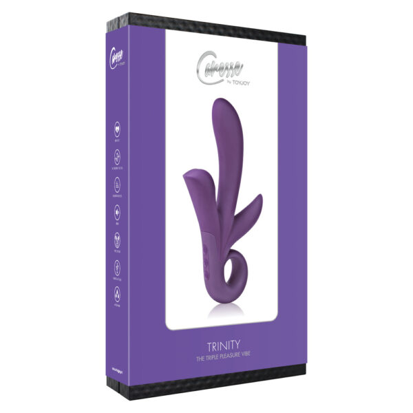 ToyJoy Trinity Triple Pleasure Vibrator Purple - XToys UK