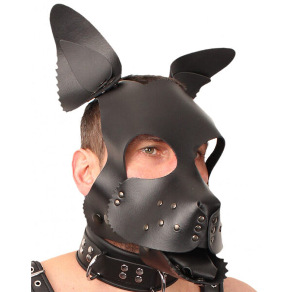 The Red Leather Puppy Dog Mask - XToys UK