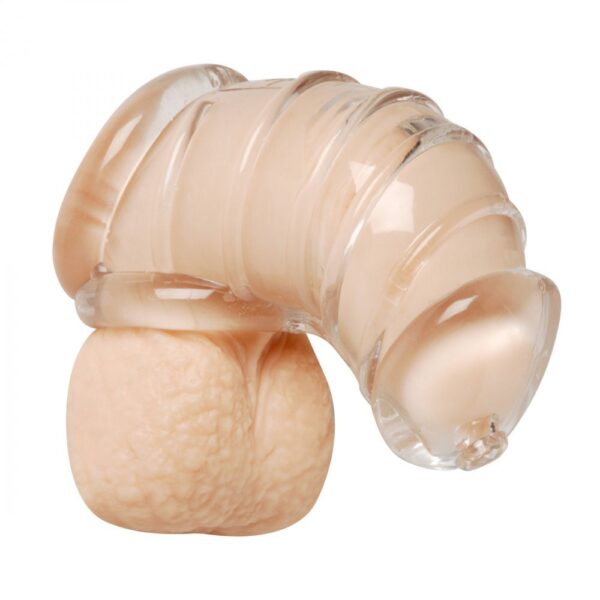 Master Series Detained Soft Body Chastity Cage - XToys UK