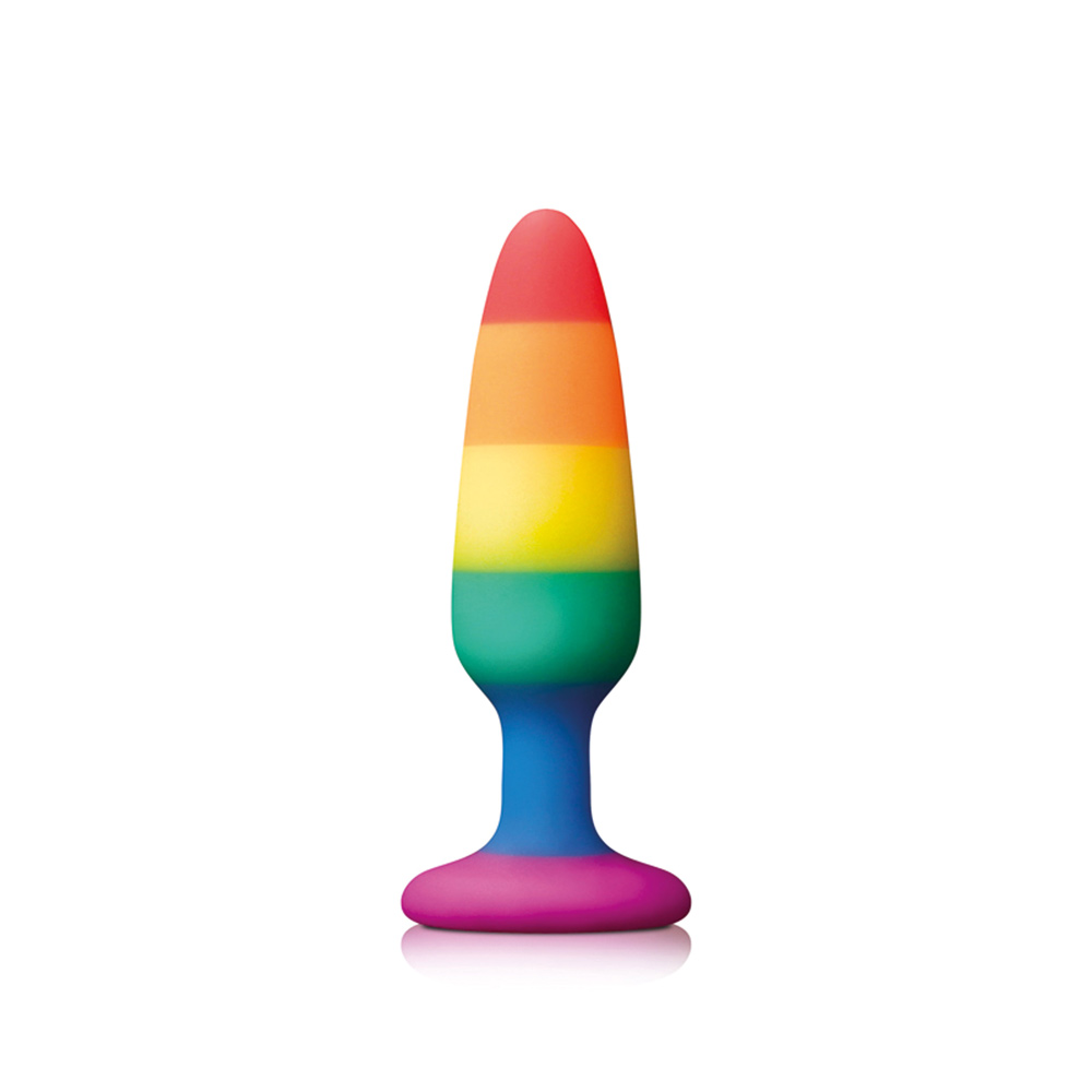 Pride Pleasure Plug Rainbow Small - XToys UK