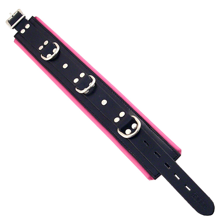 Rouge Garments Black And Pink Padded Collar - XToys UK