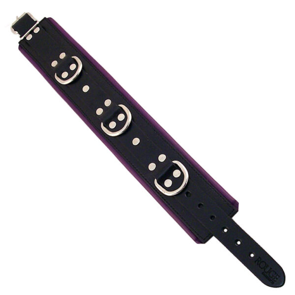 Rouge Garments Black And Purple Padded Collar - XToys UK