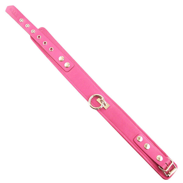 Rouge Garments Plain Pink Leather Collar - XToys UK