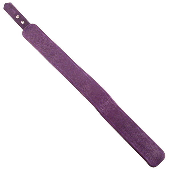 Rouge Garments Plain Purple Leather Collar - XToys UK