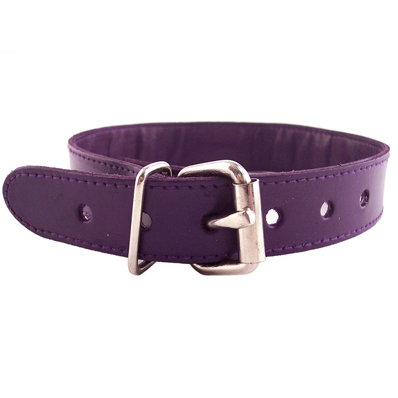 Rouge Garments Purple Studded ORing Studded Collar - XToys UK