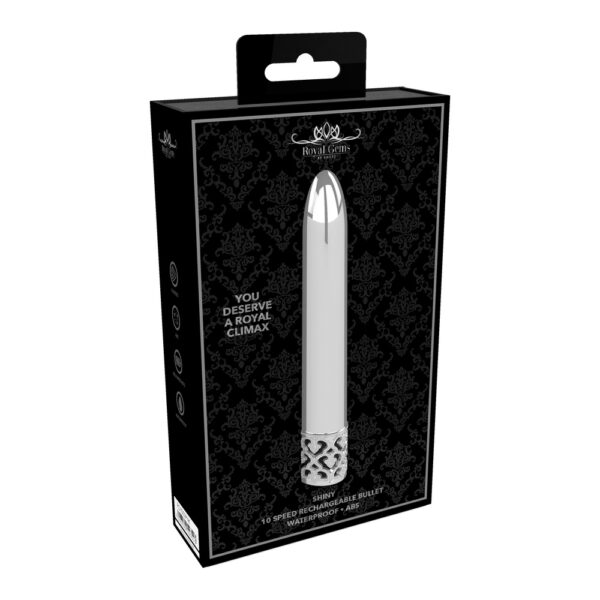 Royal Gems Shiny Rechargeable Bullet Silver - XToys UK