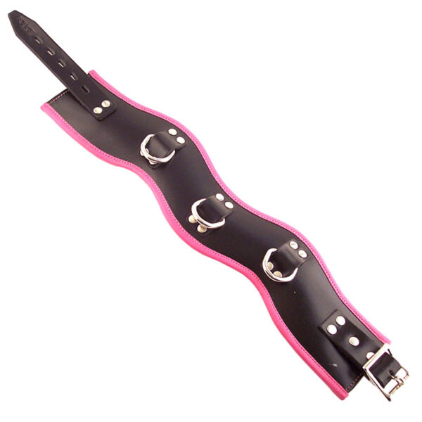 Rouge Garments Black And Pink Padded Posture Collar - XToys UK