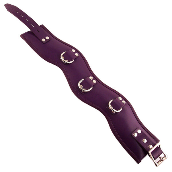 Rouge Garments Purple Padded Posture Collar - XToys UK