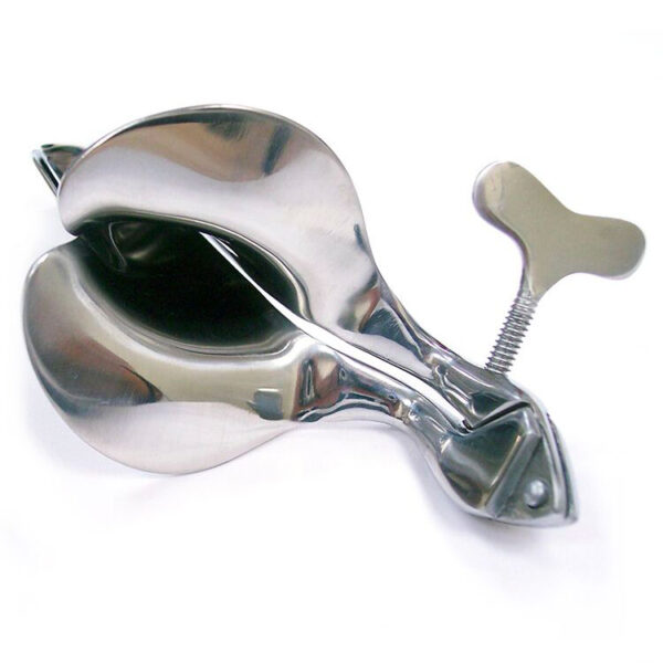 Rouge Stainless Steel Speculum Large - XToys UK