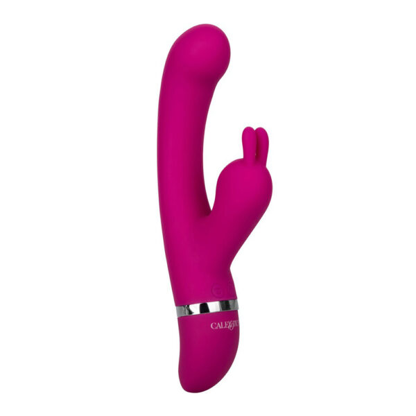 Foreplay Frenzy Bunny Kisser Vibrator - XToys UK