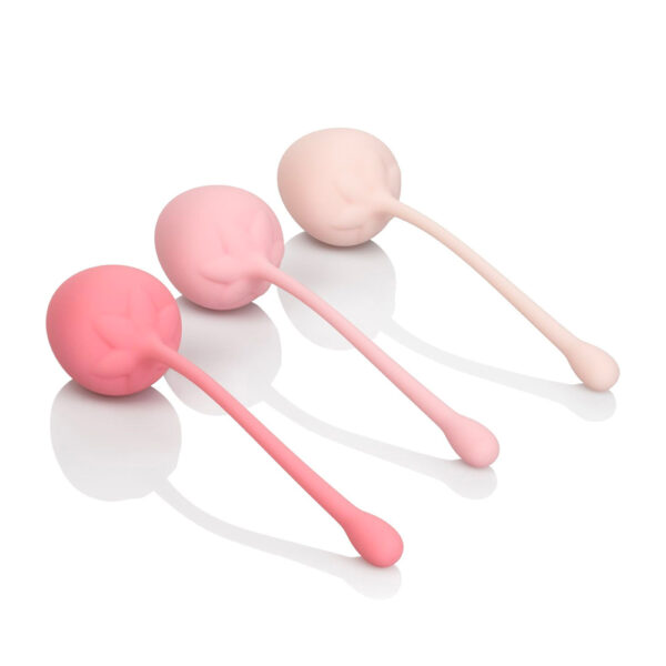 Kegel Training Set Strawberry - XToys UK