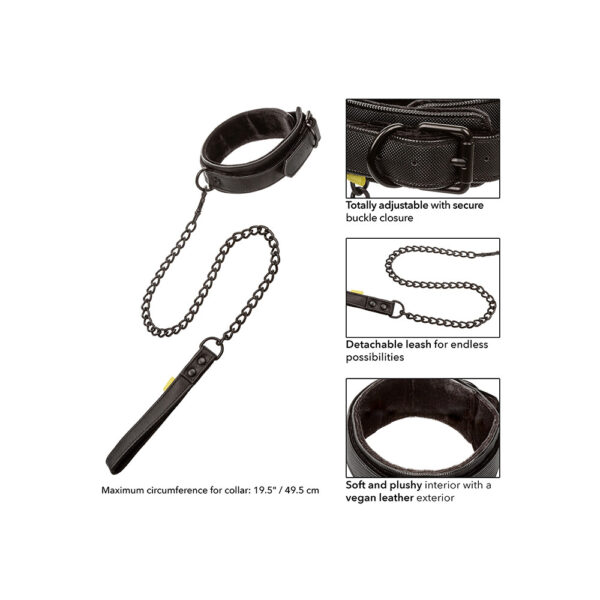 Boundless Collar and Leash - XToys UK