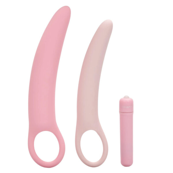 Inspire Silicone Vibrating Dilator Kit 3 Piece Set - XToys UK