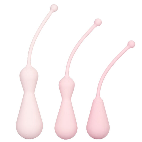 Inspire Weighted Silicone Kegel Training Kit - XToys UK