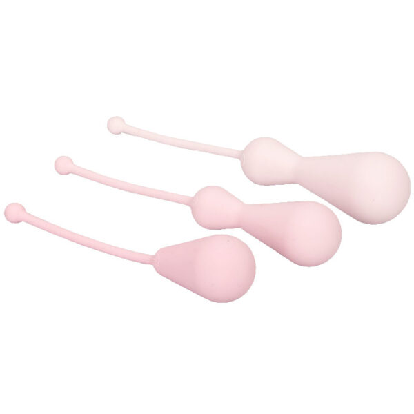 Inspire Weighted Silicone Kegel Training Kit - XToys UK