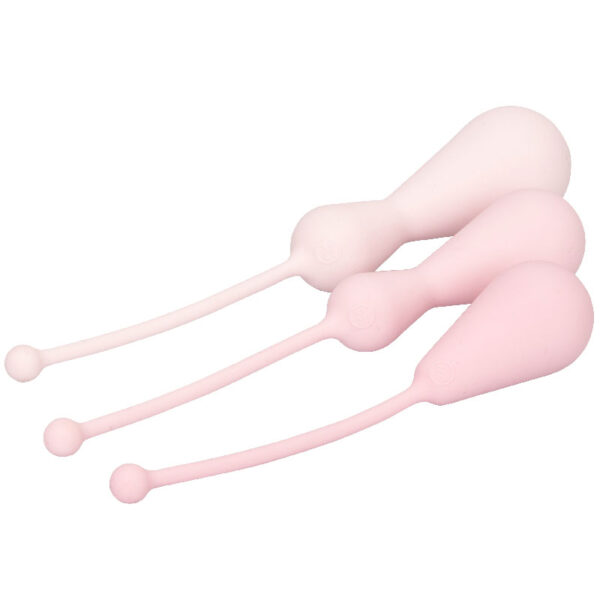 Inspire Weighted Silicone Kegel Training Kit - XToys UK