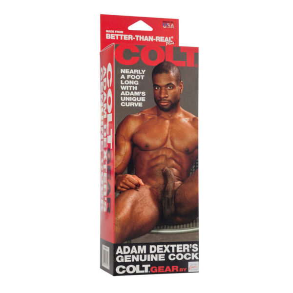 COLT Adam Dexters Realistic Cock Dildo - XToys UK