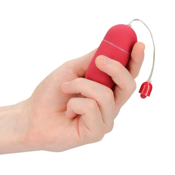 Vibrating Egg 10 Speed Red - XToys UK