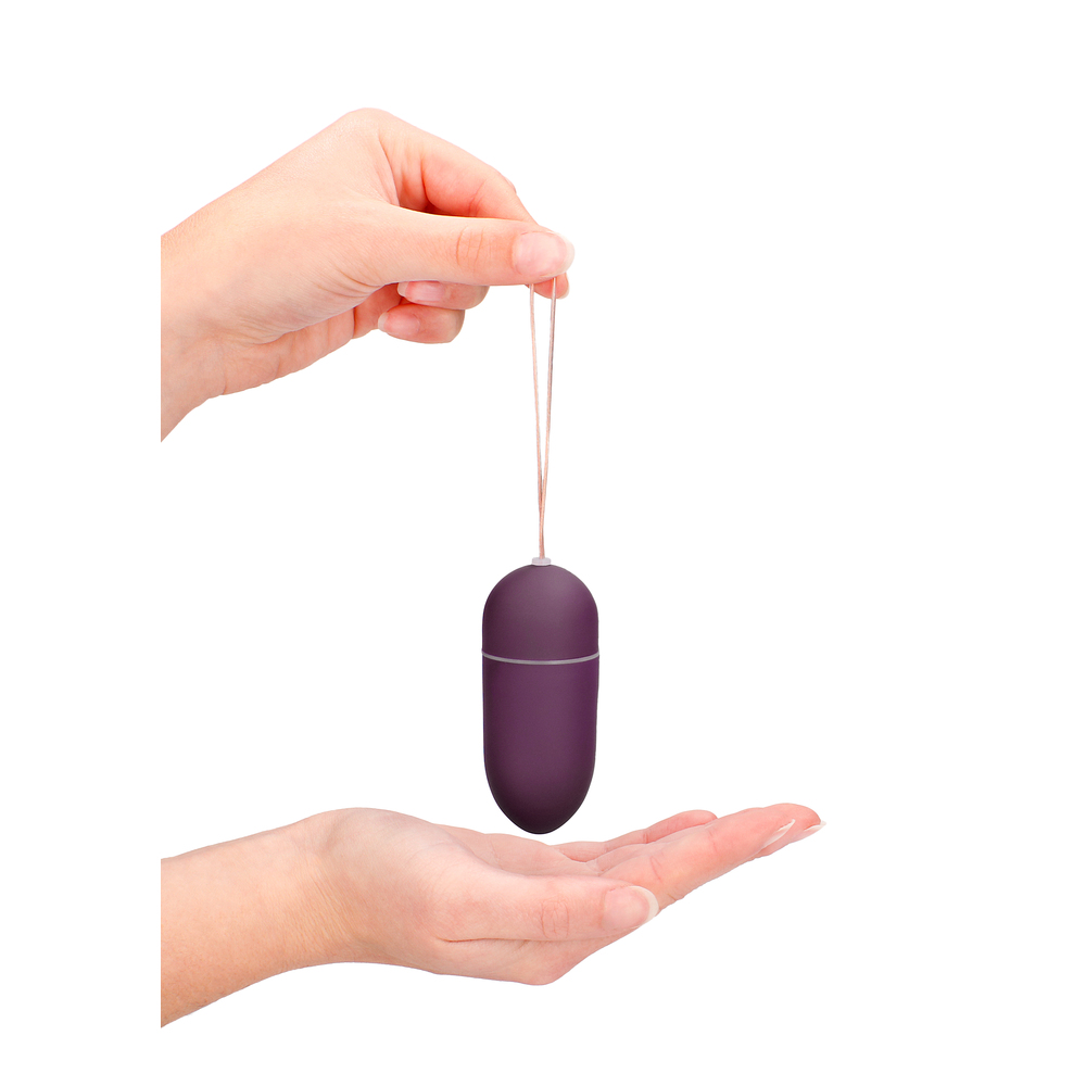 10 Speed Remote Vibrating Egg BIG Purple - XToys UK