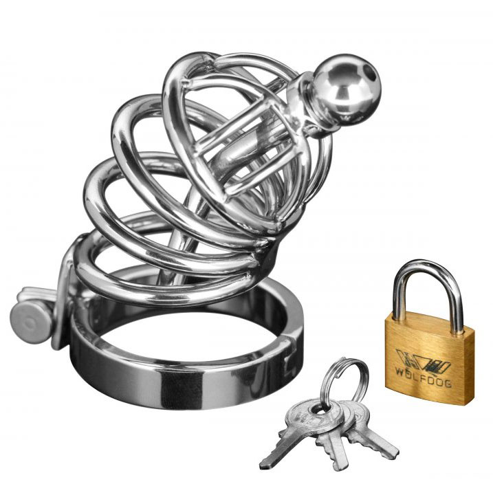 Master Series Asylum 4 Ring Locking Chastity Cage - XToys UK