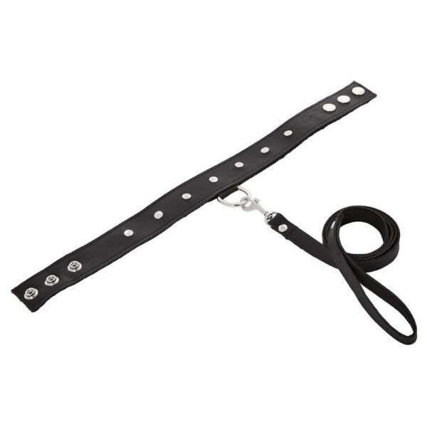 SportSheets Leather Leash And Collar - XToys UK